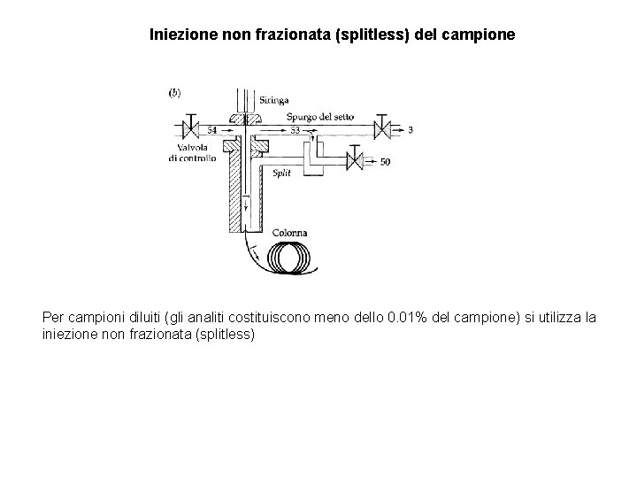 Iniezione non frazionata (splitless) del campione Per campioni diluiti (gli analiti costituiscono meno dello