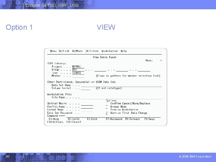 Chapter 04 TSO, ISPF, USS Option 1 30 VIEW © 2006 IBM Corporation 