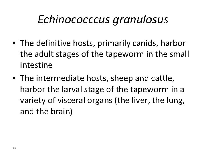 Echinococccus granulosus • The definitive hosts, primarily canids, harbor the adult stages of the