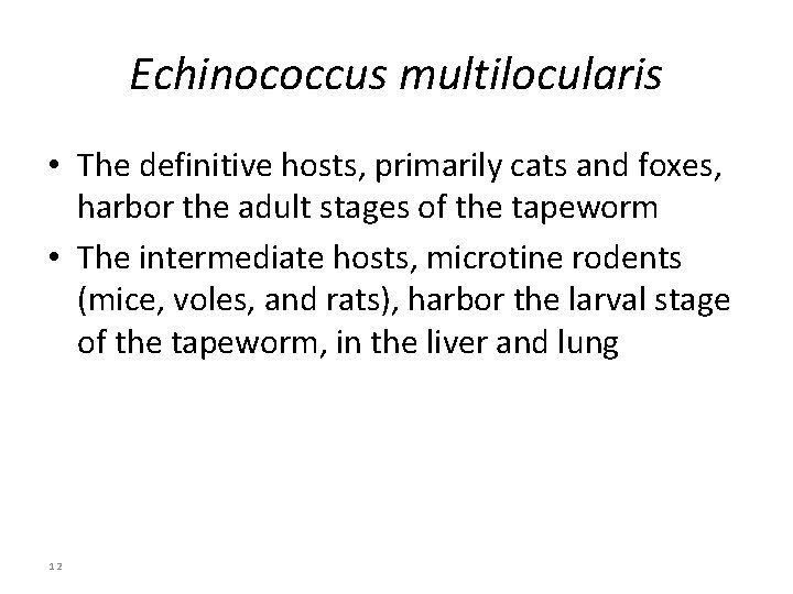 Echinococcus multilocularis • The definitive hosts, primarily cats and foxes, harbor the adult stages