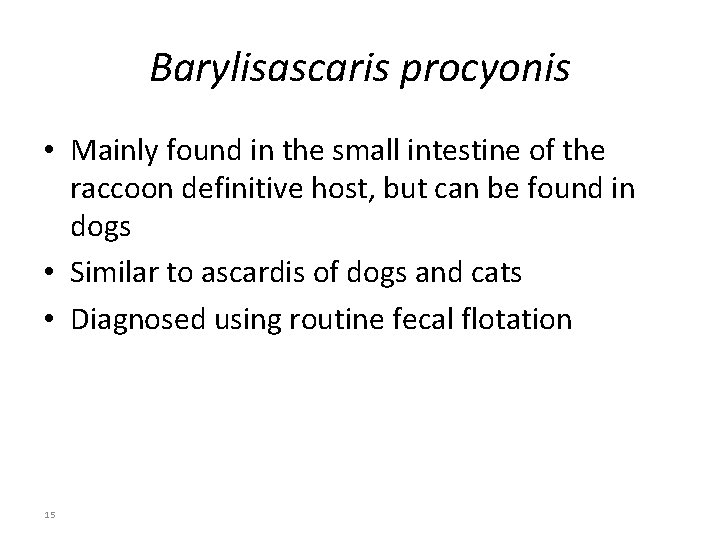 Barylisascaris procyonis • Mainly found in the small intestine of the raccoon definitive host,