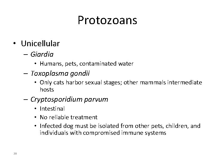 Protozoans • Unicellular – Giardia • Humans, pets, contaminated water – Toxoplasma gondii •