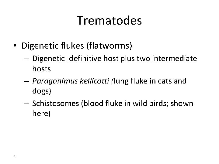 Trematodes • Digenetic flukes (flatworms) – Digenetic: definitive host plus two intermediate hosts –