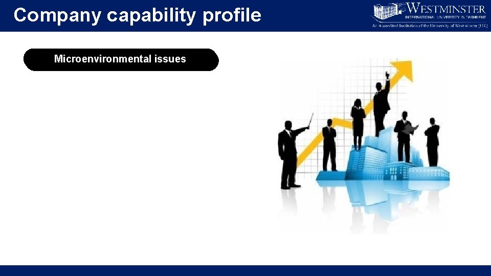 Company capability profile Microenvironmental issues Skills Resources Product adaptation Competitive advantage 