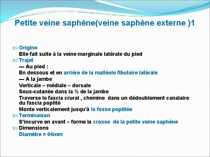 Petite veine saphène(veine saphène externe )1 Origine Elle fait suite à la veine marginale