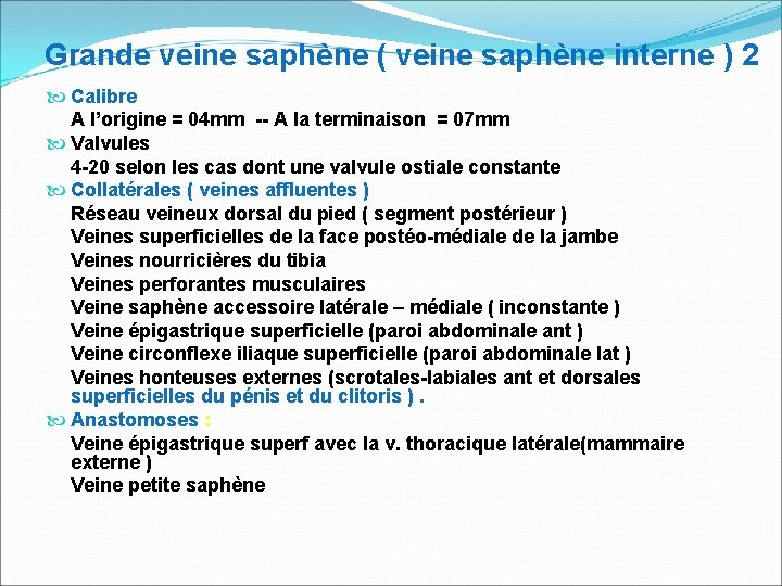 Grande veine saphène ( veine saphène interne ) 2 Calibre A l’origine = 04