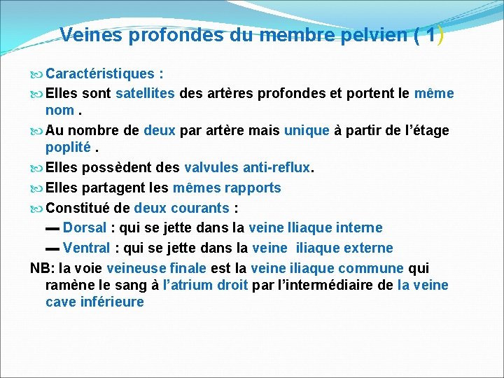 Veines profondes du membre pelvien ( 1) Caractéristiques : Elles sont satellites des artères