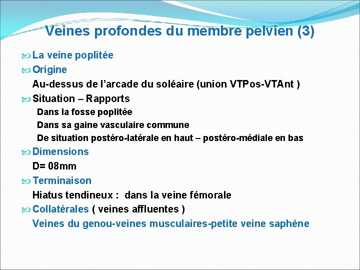 Veines profondes du membre pelvien (3) La veine poplitée Origine Au-dessus de l’arcade du