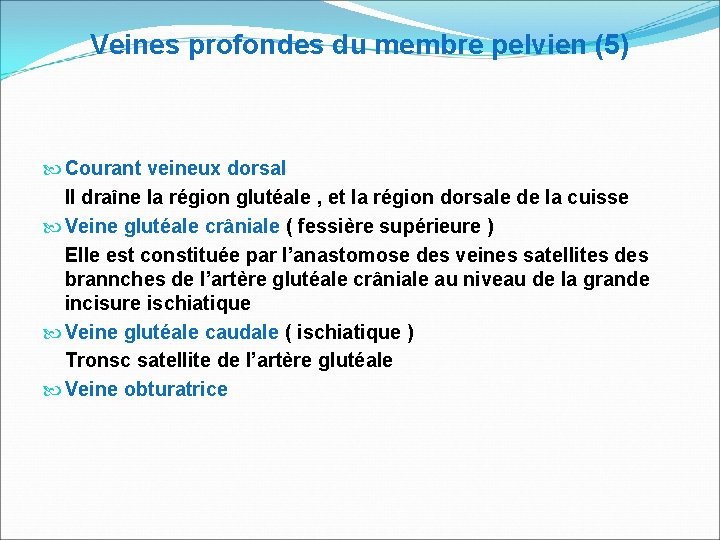 Veines profondes du membre pelvien (5) Courant veineux dorsal Il draîne la région glutéale