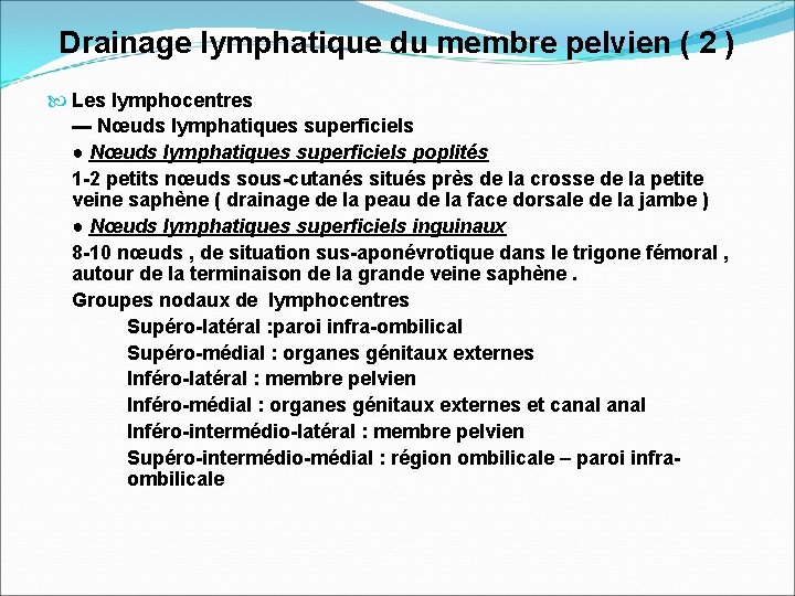 Drainage lymphatique du membre pelvien ( 2 ) Les lymphocentres ▬ Nœuds lymphatiques superficiels