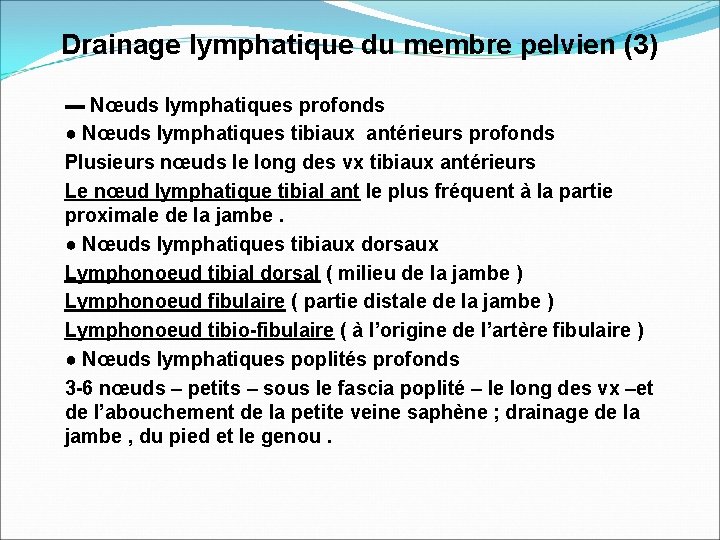 Drainage lymphatique du membre pelvien (3) ▬ Nœuds lymphatiques profonds ● Nœuds lymphatiques tibiaux