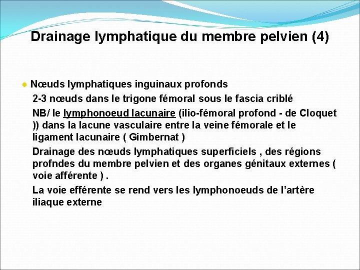 Drainage lymphatique du membre pelvien (4) ● Nœuds lymphatiques inguinaux profonds 2 -3 nœuds