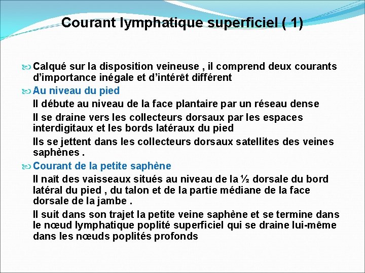 Courant lymphatique superficiel ( 1) Calqué sur la disposition veineuse , il comprend deux