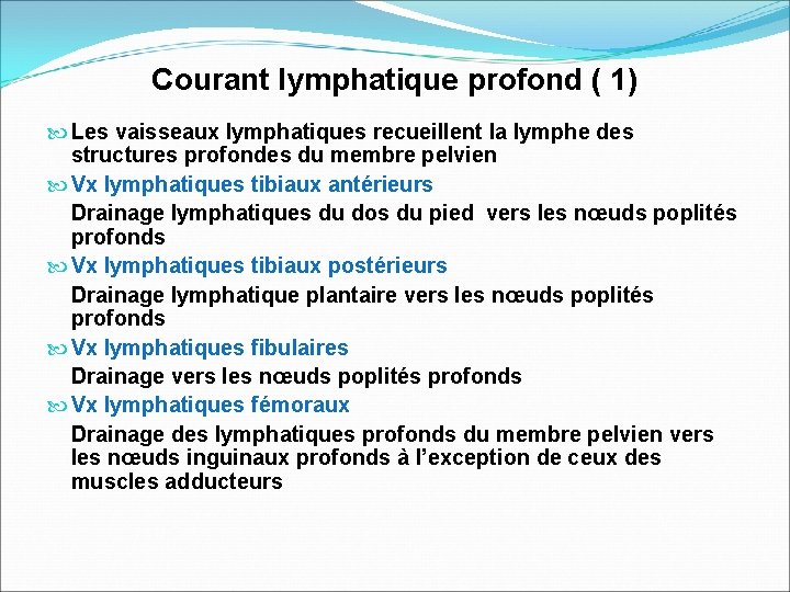 Courant lymphatique profond ( 1) Les vaisseaux lymphatiques recueillent la lymphe des structures profondes