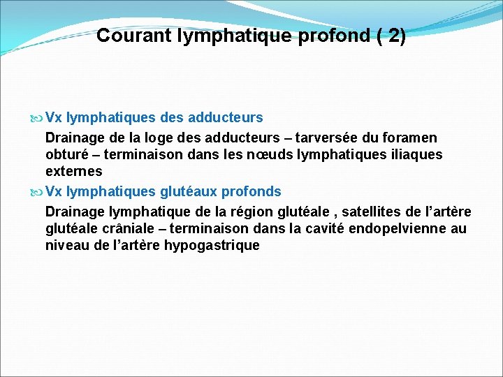 Courant lymphatique profond ( 2) Vx lymphatiques des adducteurs Drainage de la loge des