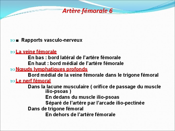 Artère fémorale 6 ■ Rapports vasculo-nerveux La veine fémorale En bas : bord latéral