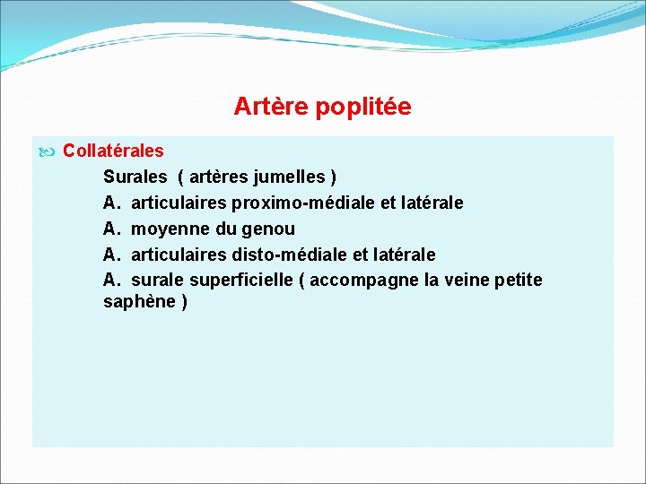 Artère poplitée Collatérales Surales ( artères jumelles ) A. articulaires proximo-médiale et latérale A.