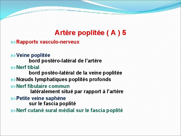 Artère poplitée ( A ) 5 Rapports vasculo-nerveux Veine poplitée bord postéro-latéral de l’artère