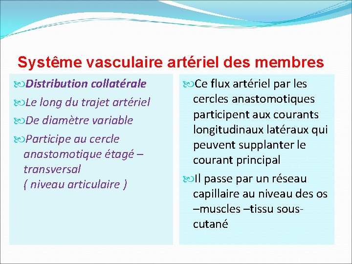 Systême vasculaire artériel des membres Distribution collatérale Le long du trajet artériel De diamètre