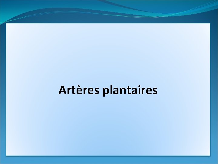 Artères plantaires 