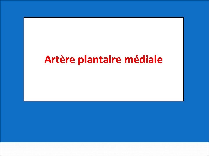 Artère plantaire médiale 