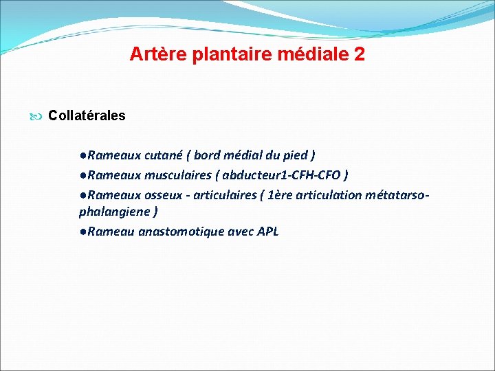 Artère plantaire médiale 2 Collatérales ●Rameaux cutané ( bord médial du pied ) ●Rameaux