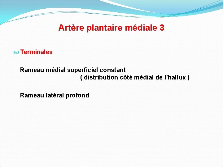 Artère plantaire médiale 3 Terminales Rameau médial superficiel constant ( distribution côté médial de