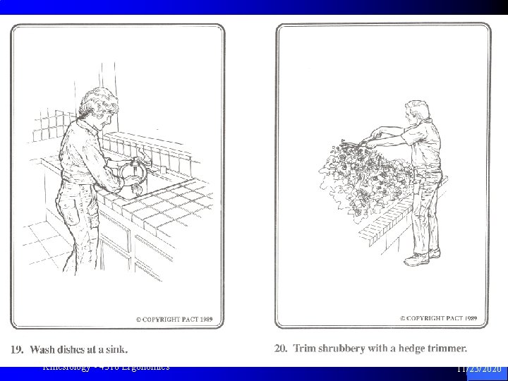 Kinesiology - 4310 Ergonomics 18 11/23/2020 