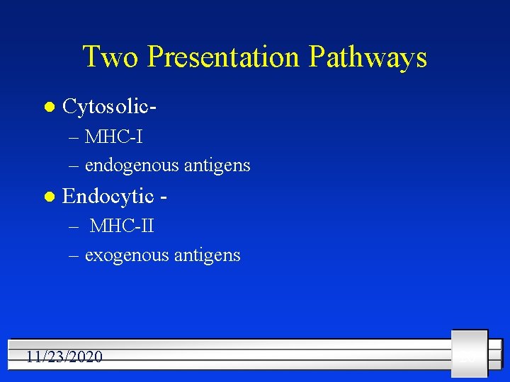 Two Presentation Pathways l Cytosolic– MHC-I – endogenous antigens l Endocytic – MHC-II –