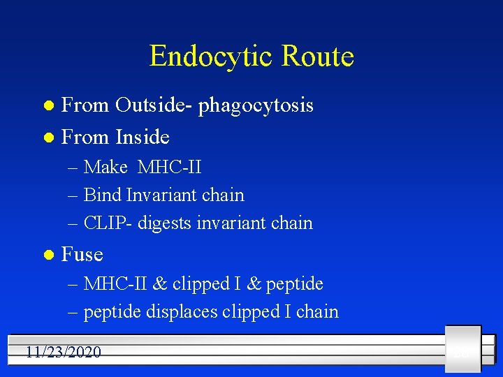 Endocytic Route From Outside- phagocytosis l From Inside l – Make MHC-II – Bind