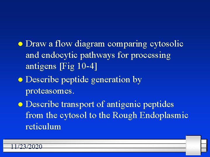 Draw a flow diagram comparing cytosolic and endocytic pathways for processing antigens [Fig 10