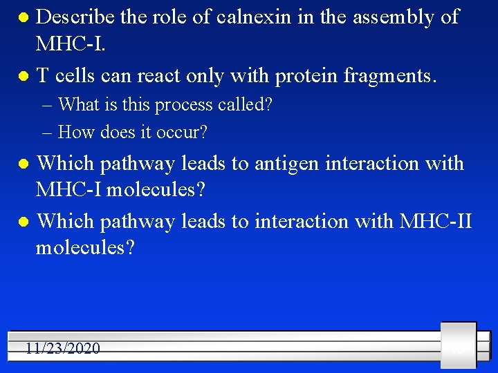 Describe the role of calnexin in the assembly of MHC-I. l T cells can