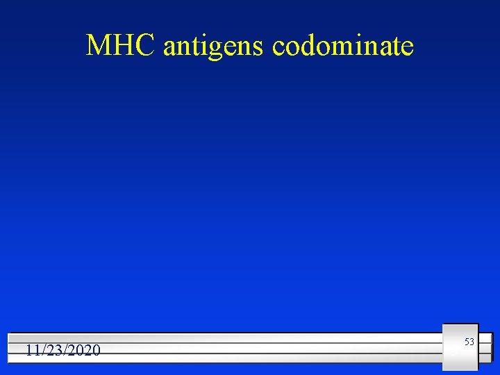 MHC antigens codominate 11/23/2020 5 53 