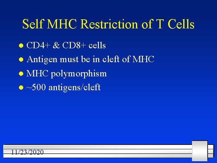 Self MHC Restriction of T Cells CD 4+ & CD 8+ cells l Antigen