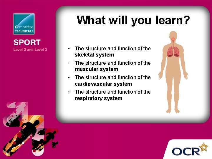 What will you learn? • The structure and function of the skeletal system •