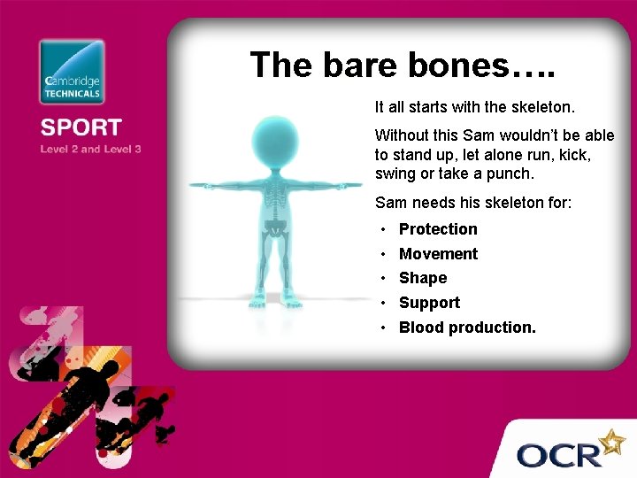 The bare bones…. It all starts with the skeleton. Without this Sam wouldn’t be