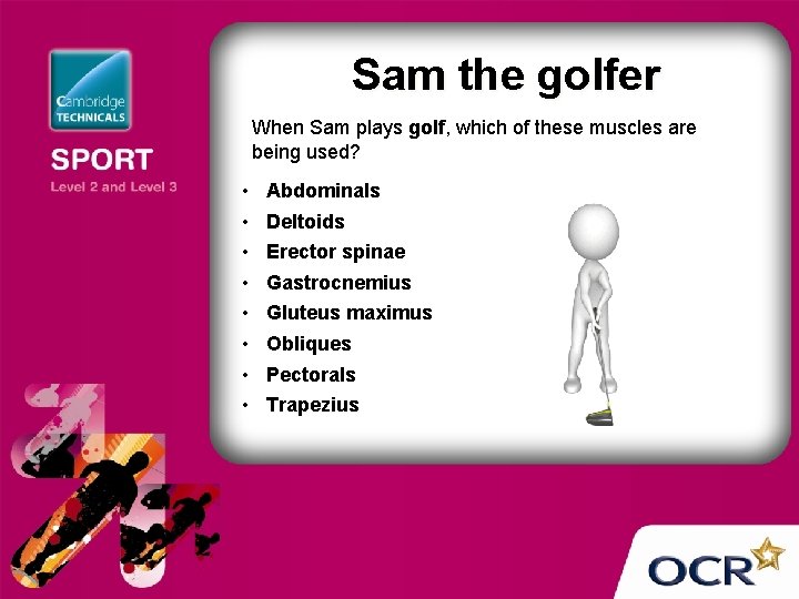 Sam the golfer When Sam plays golf, which of these muscles are being used?