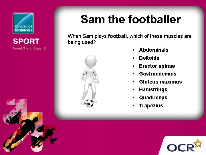 Sam the footballer When Sam plays football, which of these muscles are being used?