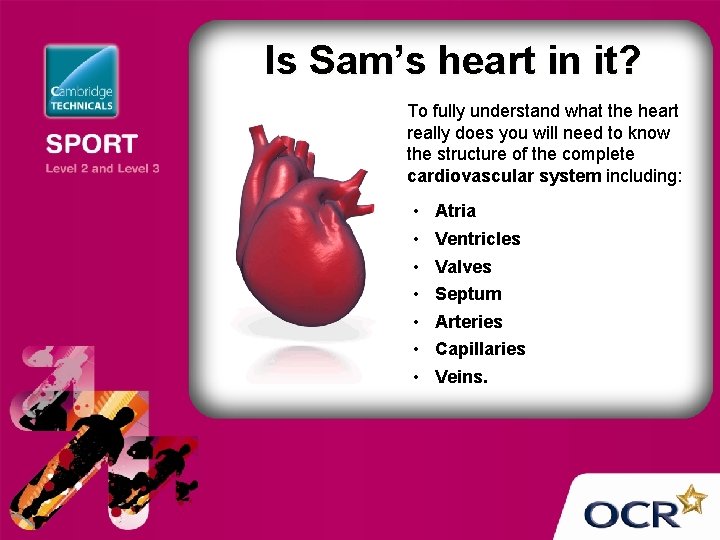 Is Sam’s heart in it? To fully understand what the heart really does you