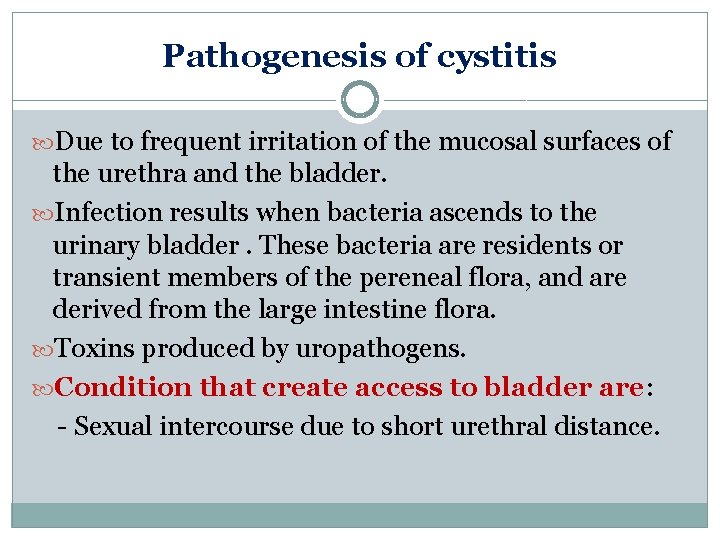 Pathogenesis of cystitis Due to frequent irritation of the mucosal surfaces of the urethra