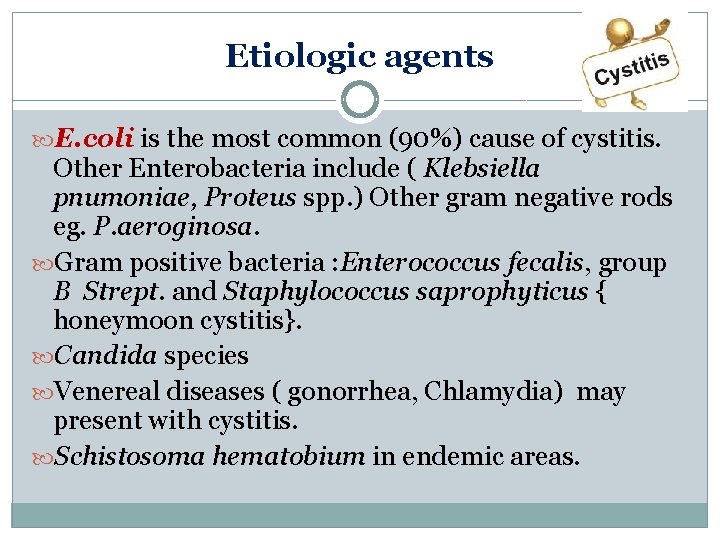 Etiologic agents E. coli is the most common (90%) cause of cystitis. Other Enterobacteria