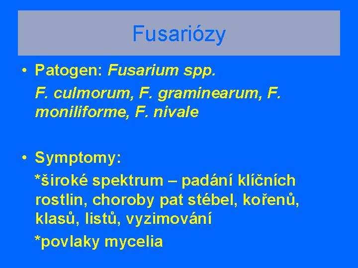 Fusariózy • Patogen: Fusarium spp. F. culmorum, F. graminearum, F. moniliforme, F. nivale •