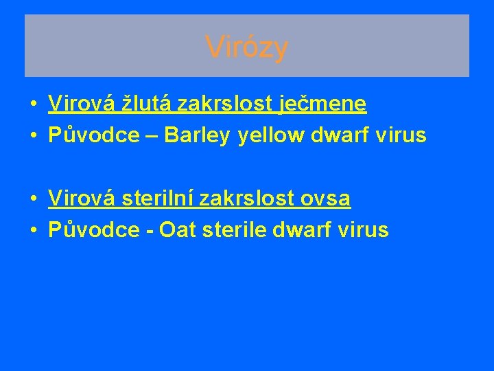 Virózy • Virová žlutá zakrslost ječmene • Původce – Barley yellow dwarf virus •