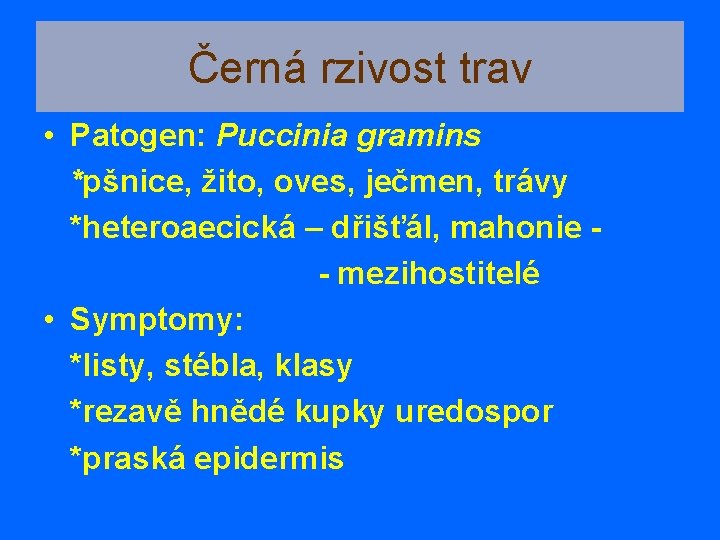 Černá rzivost trav • Patogen: Puccinia gramins *pšnice, žito, oves, ječmen, trávy *heteroaecická –