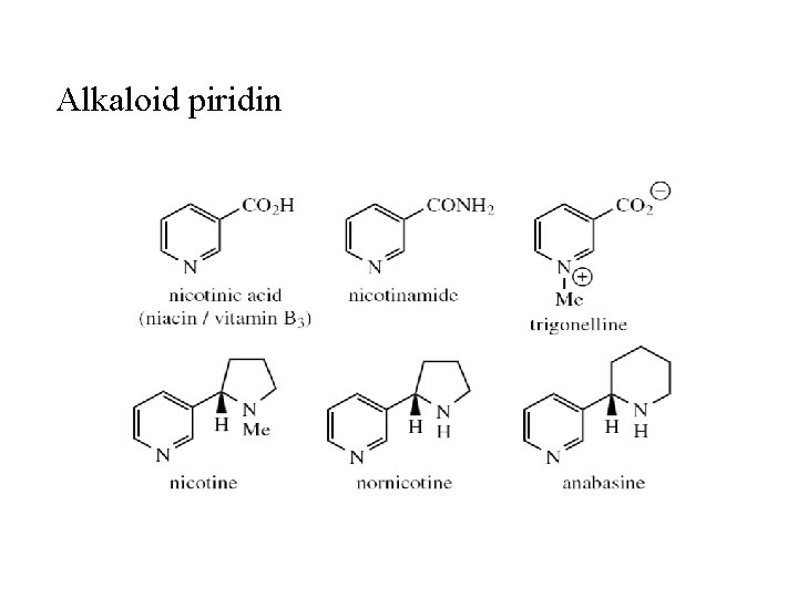 Alkaloid piridin 