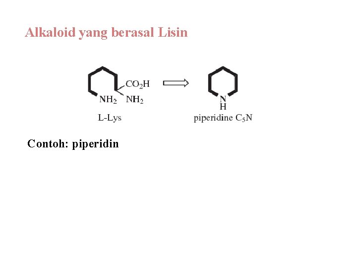 Alkaloid yang berasal Lisin Contoh: piperidin 
