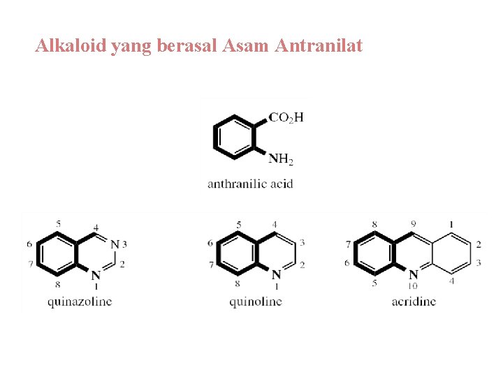 Alkaloid yang berasal Asam Antranilat 