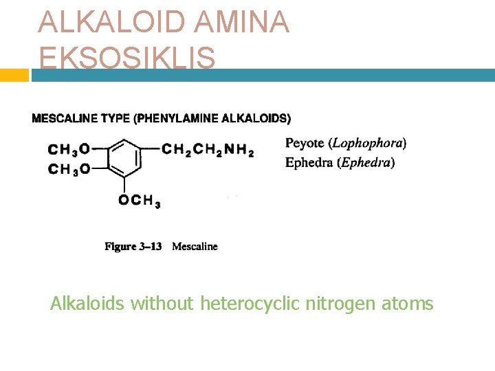 ALKALOID AMINA EKSOSIKLIS Alkaloids without heterocyclic nitrogen atoms 