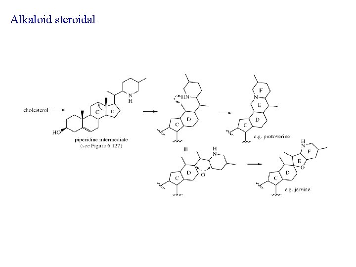Alkaloid steroidal 