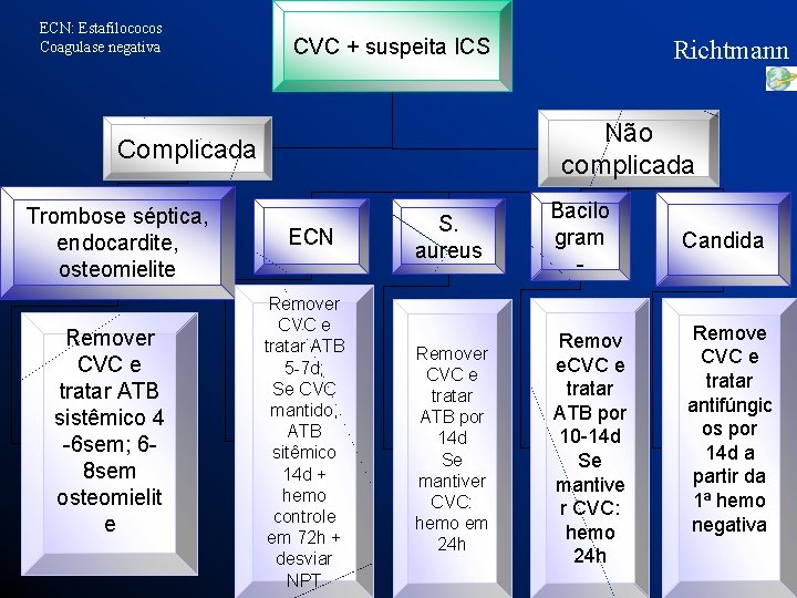 ECN: Estafilococos Coagulase negativa CVC + suspeita ICS Não complicada Complicada Trombose séptica, endocardite,